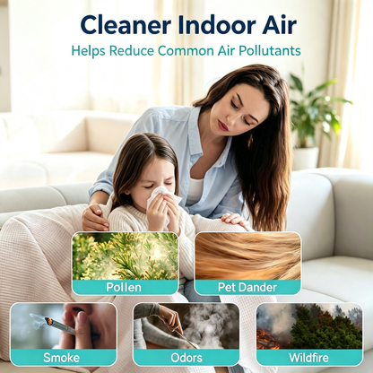 Large Room H13 HEPA Air Purifier